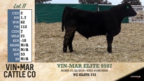 Lot #11 - VIN-MAR ELITE 9507