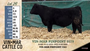 Lot #26 - VIN-MAR PINPOINT 9579