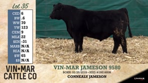Lot #35 - VIN-MAR JAMESON 9580