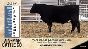 Lot #36 - VIN-MAR JAMESON 9585