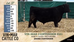 Lot #37 - VIN-MAR CONTENDER 9501