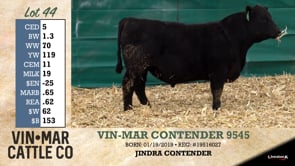 Lot #44 - VIN-MAR CONTENDER 9545