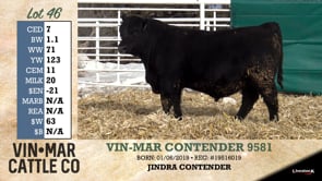 Lot #46 - VIN-MAR CONTENDER 9581