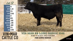 Lot #51 - VIN-MAR BB LONG RANGE 9546