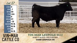 Lot #57 - VIN-MAR LEUPOLD 9512