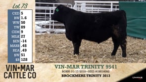 Lot #73 - VIN-MAR TRINITY 9541