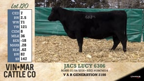 Lot #120 - JACS LUCY 6306