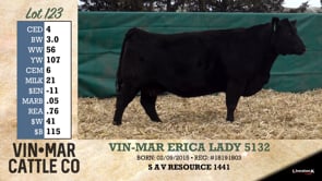 Lot #123 - VIN-MAR ERICA LADY 5132