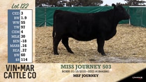 Lot #122 - MISS JOURNEY 503