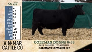 Lot #121 - COLEMAN DONNA 6438