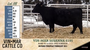 Lot #118 - VIN-MAR SUSANNA 6195