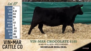 Lot #117 - VIN-MAR CHOCOLATE 6185