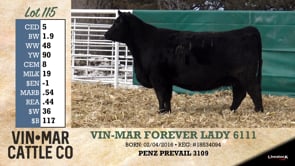 Lot #115 - VIN-MAR FOREVER LADY 6111