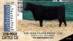 Lot #114 - VIN-MAR CLOVA PRIDE 7196