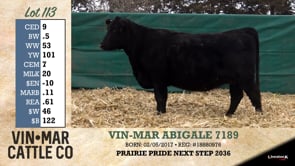 Lot #113 - VIN-MAR ABIGALE 7189