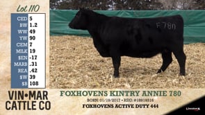 Lot #110 - FOXHOVENS KINTRY ANNIE 780