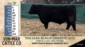 Lot #76 - VIN-MAR BLCK GRANITE 9575