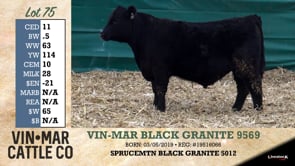 Lot #75 - VIN-MAR BLACK GRANITE 9569