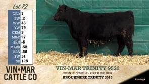 Lot #72 - VIN-MAR TRINITY 9532
