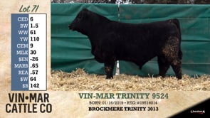 Lot #71 - VIN-MAR TRINITY 9524