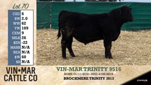 Lot #70 - VIN-MAR TRINITY 9516