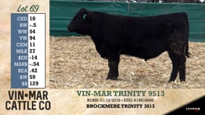 Lot #69 - VIN-MAR TRINITY 9513