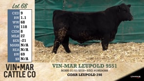 Lot #68 - VIN-MAR LEUPOLD 9551