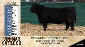 Lot #66 - VIN-MAR LEUPOLD 9538