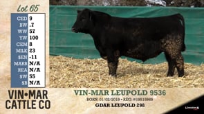 Lot #65 - VIN-MAR LEUPOLD 9536