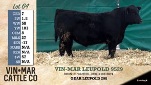 Lot #64 - VIN-MAR LEUPOLD 9529