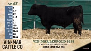 Lot #63 - VIN-MAR LEUPOLD 9528
