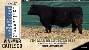 Lot #61 - VIN-MAR BB LEUPOLD 9525