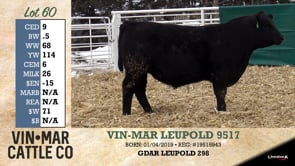 Lot #60 - VIN-MAR LEUPOLD 9517
