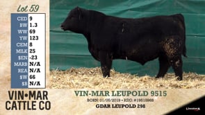 Lot #59 - VIN-MAR LEUPOLD 9515