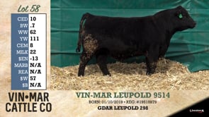 Lot #58 - VIN-MAR LEUPOLD 9514