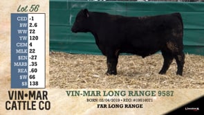 Lot #56 - VIN-MAR LONG RANGE 9587