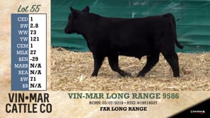 Lot #55 - VIN-MAR LONG RANGE 9586