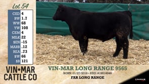 Lot #54 - VIN-MAR LONG RANGE 9565