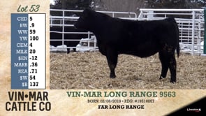 Lot #53 - VIN-MAR LONG RANGE 9563