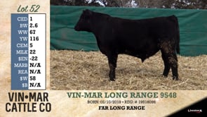 Lot #52 - VIN-MAR LONG RANGE 9548
