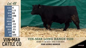 Lot #48 - VIN-MAR LONG RANGE 9509