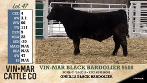 Lot #47 - VIN-MAR BLACK BARDOLIER 9508