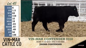 Lot #45 - VIN-MAR CONTENDER 9550