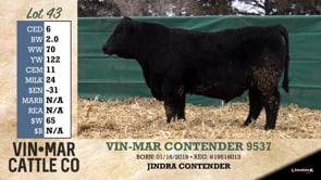 Lot #43 - VIN-MAR CONTENDER 9537
