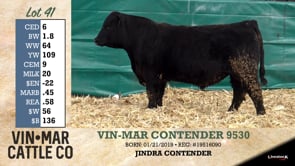 Lot #41 - VIN-MAR CONTENDER 9530