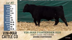Lot #40 - VIN-MAR CONTENDER 9526