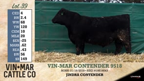 Lot #39 - VIN-MAR CONTENDER 9518