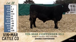 Lot #38 - VIN-MAR CONTENDER 9511