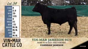 Lot #34 - VIN-MAR JAMESON 9578