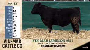Lot #33 - VIN-MAR JAMESON 9577